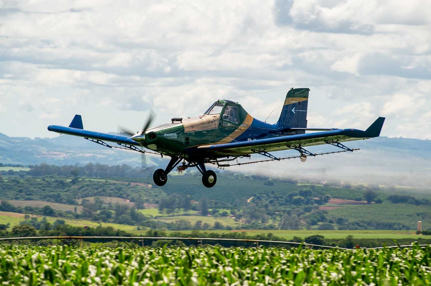 Ipanema, Bahia Farm Show